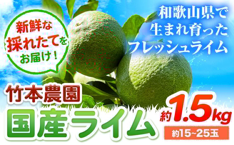 
            【先行予約】ライム 国産 ライム 約1.5kg (15～25玉)《年9月下旬-12月中旬頃出荷》竹本農園 和歌山県 日高川町 産地直送 旬 新鮮 果物 柑橘 ライム らいむ フルーツ 国産 送料無料
          