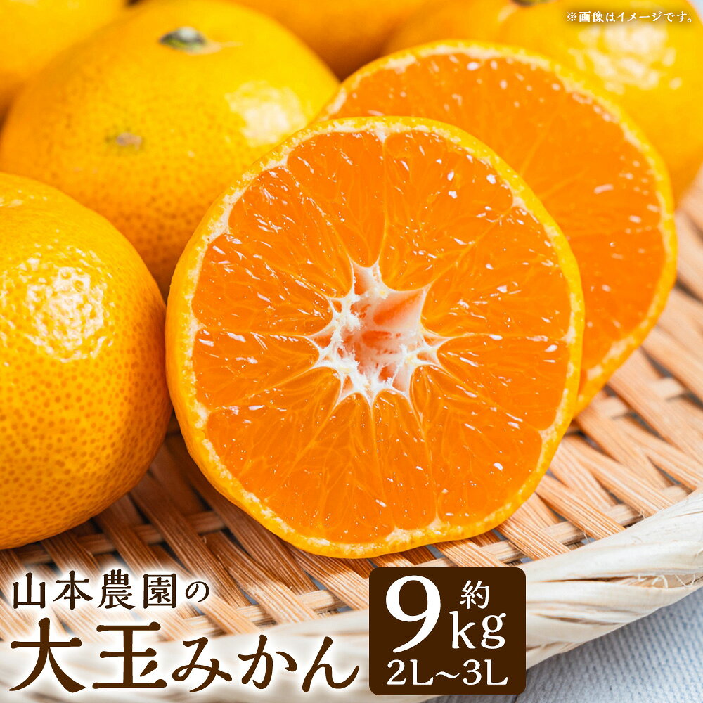 【ふるさと納税】山本農園の大玉みかん 9kg 大玉 大玉みかん 大玉蜜柑 大玉ミカン みかん ミカン 蜜柑 フルーツ くだもの 果物 ミネラル豊富 太良町 国産 贈答用 お中元 お歳暮 N31x1 【2026年11月上旬～2027年1月上旬】