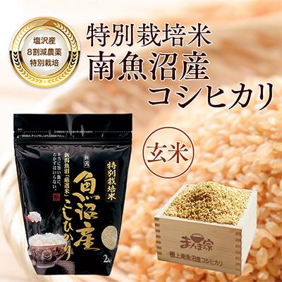 ふるさと納税 南魚沼市 【毎月定期便】特別栽培米「南魚沼産コシヒカリ」玄米8kg 全12回