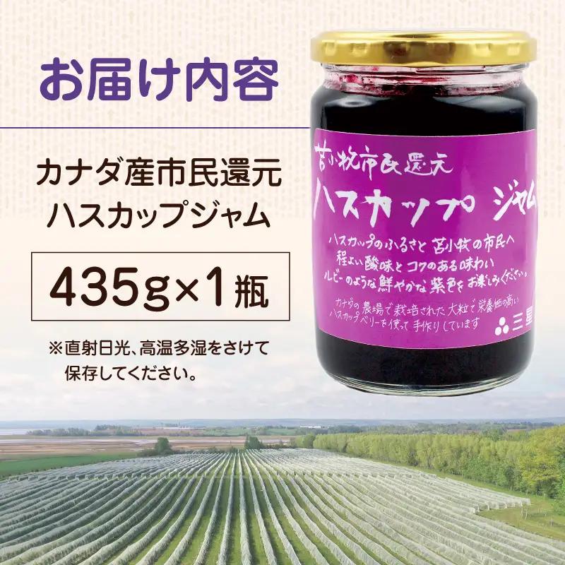 カナダ産 苫小牧市民還元 ハスカップジャム 435g（1瓶） T044-017 果物 加工品