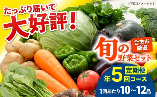 【年5回コース定期便】合志の旬のお野菜10〜12品目【一般社団法人クラッシーノこうし】 野菜 旬 季節 詰合せ 国産 合志市 おまかせ 詰め合わせ 産地 直送 春野菜 夏野菜 秋野菜 冷蔵 根菜 果物 葉物 産地直送 合志 熊本県 熊本 くまもと セット お野菜 ほうれん草 小松菜 ミニトマト さといも さつまいも なす ピーマン しょうが 大根 レタス キャベツ [AYAB020]