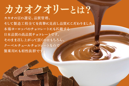カカオクオリー ブレンド ミルク カカオ40% 1kg チョコレート HS-003