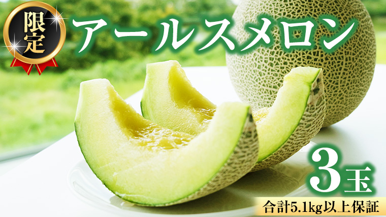 【2025年8月下旬発送開始】 季節 限定 ！ 甘さ満点 アールス メロン 3玉 入箱 果物 フルーツ 農家直送 産直 青肉メロン 特産品 マスクメロン メロン くだもの 茨城 [BC044sa]
