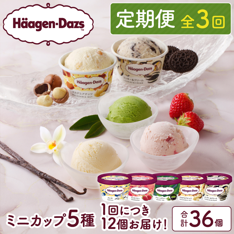 ＜全3回・連続＞お試し定期便！ミニカップ セット アイス スイーツ デザート_H0016-157