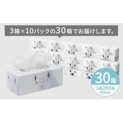 ふるさと納税 春日井市 【定期便】2回発送(3か月おきに発送)  ネピア鼻セレブティシュ3箱×10パック |  | 02