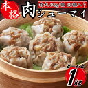 【ふるさと納税】【レンジで簡単！】本格特大肉シューマイ20個（50g×20個）.ZG151