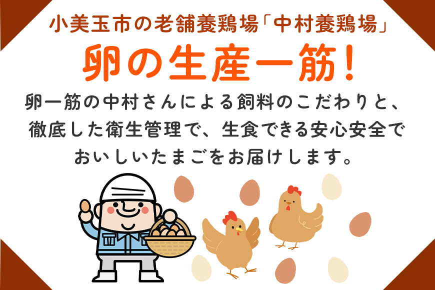 鶏卵50個（45＋補償5個）入り ×2回発送