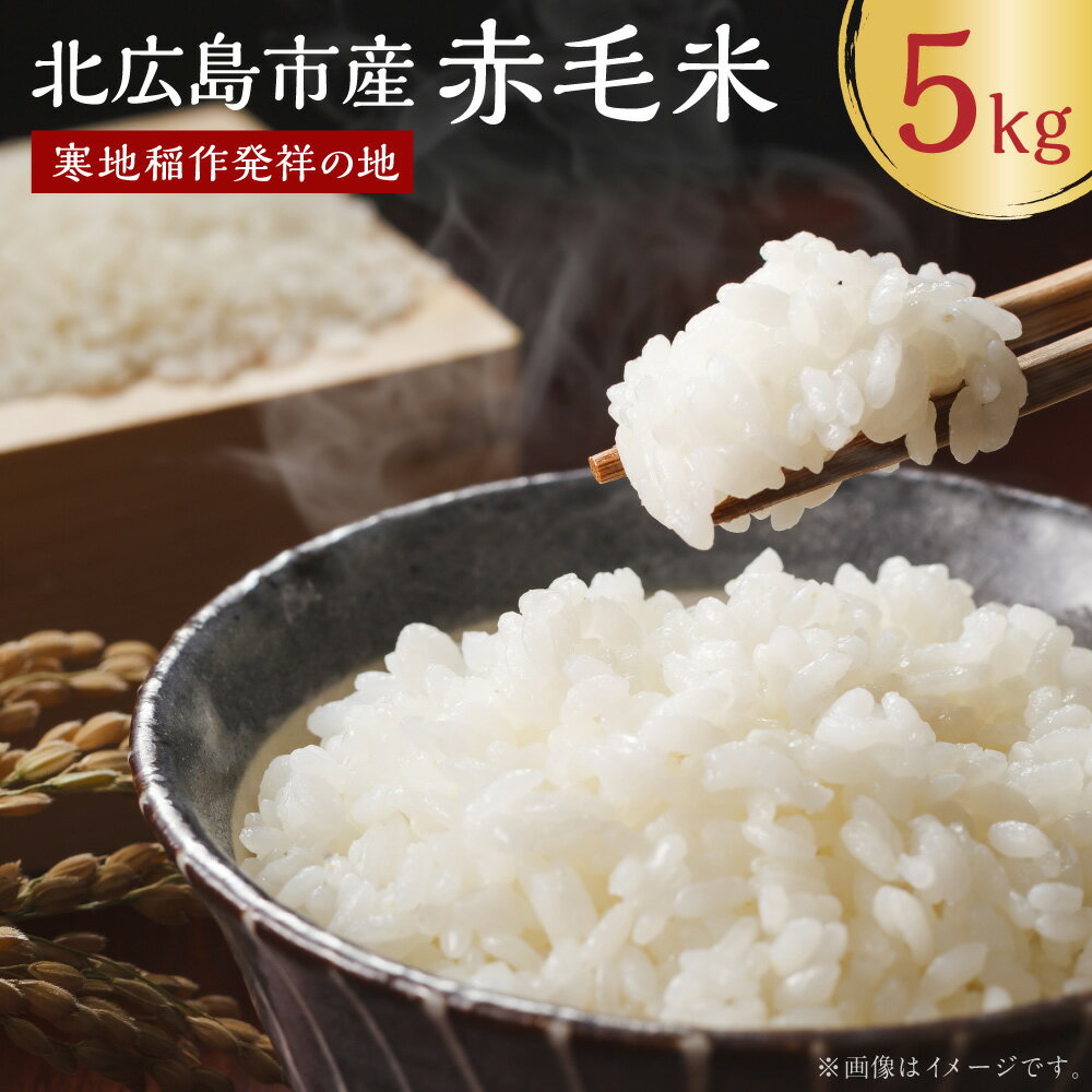 【ふるさと納税】【令和6年産】寒地稲作発祥の地 北広島市産 赤毛米 5kg×1個 お米 精米 単一原料米 ごはん ご飯 北海道 北広島市加工 送料無料