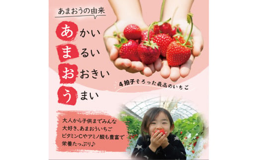 【先行受付】あまおう いちご 1,080g (約270g×4パック) 【2027年1月中旬以降順次発送】糸島市 / 株式会社HSP-テクノ [AZL001] ブランド いちご あまおう イチゴ 苺 フ
