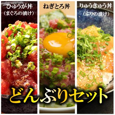 ふるさと納税 津久見市 どんぶり3種セット