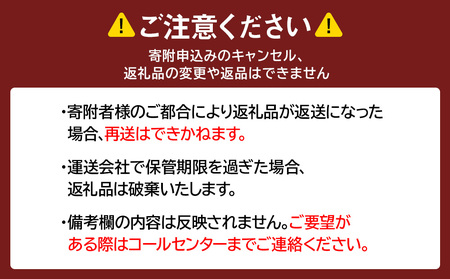 で～っかいスイートポテト  2個 AR074