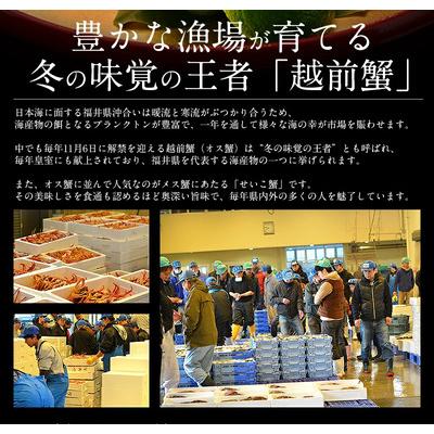 ふるさと納税 敦賀市 ズワイ 甲羅盛り(1個) と セイコ蟹 甲羅盛り(2個) セット【しおそう かに 蟹】 |  | 01