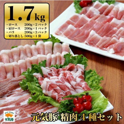 千葉県産豚肉　元気豚 精肉4種セット　1.7kg【配送不可地域：離島・沖縄】【1301298】