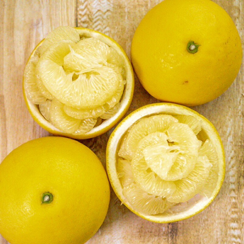 【 先行予約 】 土佐文旦 10kg 高知県産 柑橘 フルーツ 文旦 ぶんたん ブンタン 分担 果物 みかん 文旦 産地直送 高知県 須崎 須崎市 南国高知からの贈り物 ME024-x