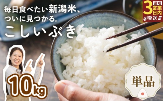 令和7年産 新潟県産こしいぶき 10kg 5kg×2袋 新潟県 新潟産 新潟米 新発田産 新発田 お米 米 こしいぶき とんとん市場 せいだ 5kg 10kg 数量限定 玄米 とんとん市場のお米 D55_05