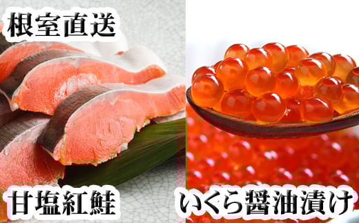 C-70024 いくら醤油漬け100g×2P、紅鮭切身5切×4P