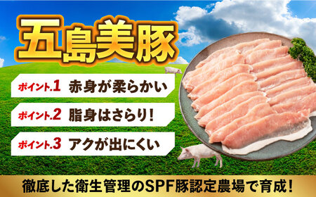 美豚ちゃん300g×3個 味付け 豚肉 SPFポーク 小分け 野菜炒め 五島市/長崎フードサービス [PEL001]