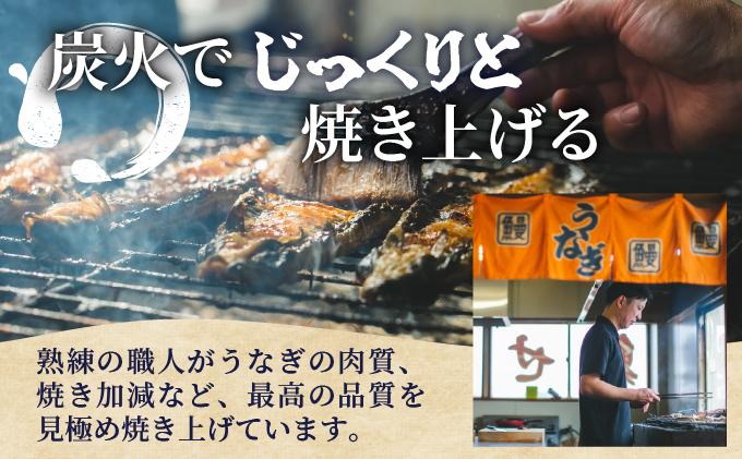 うなぎの特大蒲焼（2尾）230g以上×2尾　AE04