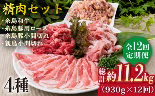 【全12回定期便】牛肉 豚肉 鶏肉 日常使いの精肉セット 930g 2〜3人前 4種《糸島》【糸島ミートデリ工房】 [ACA195] 糸島 和牛 牛肉 豚肉 鶏肉 BBQ 糸島 焼肉 国産