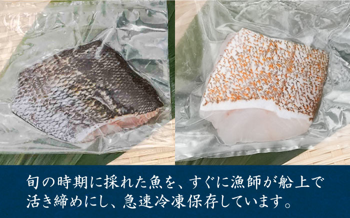 【ANA限定】アカハタ 、イサキ 2人前 壱岐玄海船団丸の魚（切り身）セット ～ANAシェフ洋食レシピ付き～ [JFC007]