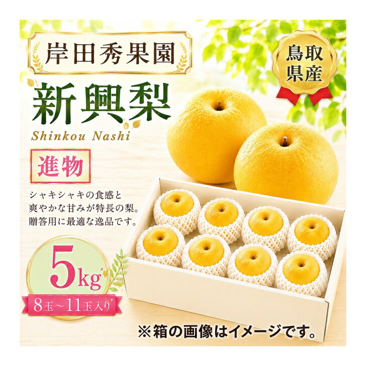 【ふるさと納税】 【予約受付中】 岸田秀果園 新興 梨 進物用 5kg やまのおかげ屋 鳥取県 米子市
