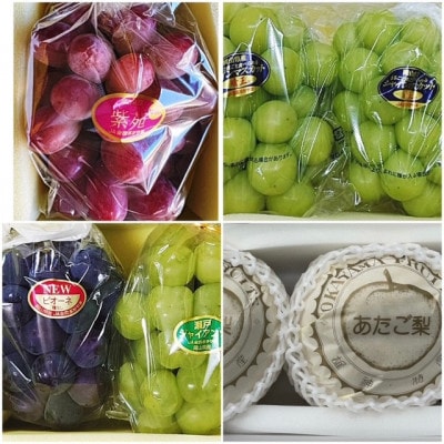 【発送月固定定期便】岡山県産 フルーツ定期便全4回【配送不可地域：離島・北海道・沖縄県】