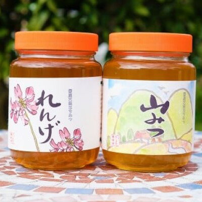 【ふるさと納税】はちみつ 国産 天然 純はちみつ 各1kg れんげ＆やまみつ ハチミツ 蜂蜜 　お届け：2025年5月より順次発送いたします。