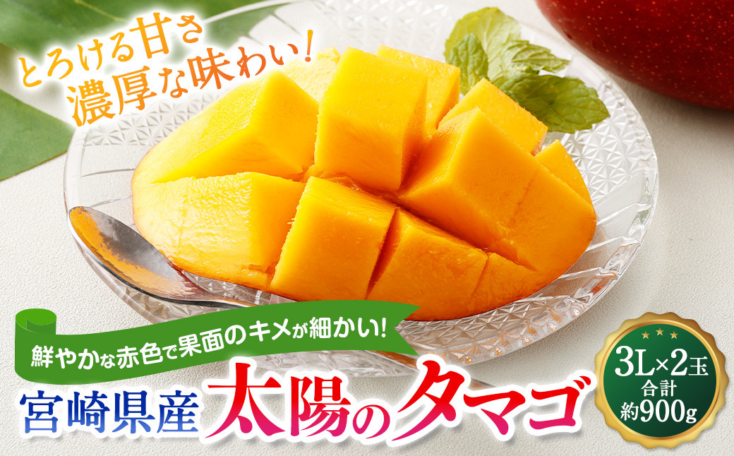 ＜宮崎県産太陽のタマゴ 3L×2玉(合計約900g)＞