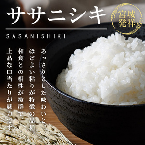 ≪令和7年産≫ 登米市産 ササニシキ 10kg (5kg×2袋) お米 おこめ 米 コメ 白米 ご飯 ごはん おにぎり お弁当【有限会社PFTサービス】tm092