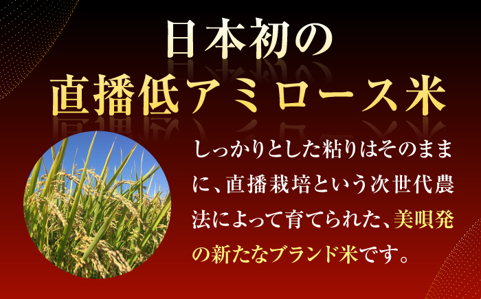 【先行予約】 令和8年産 北海道 さんさんまる 精米 10kg （5kg×2袋）| 2026年11月以降順次発送 | 白米 お米 米 北海道産 コメ | 株式会社松原米穀 [BOCG010]