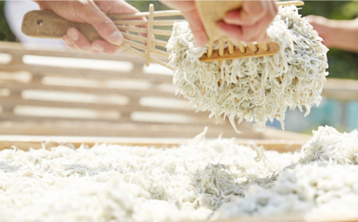 【全6回定期便】釜揚げしらす 900g（150ｇ×6パック）しらす シラス 釜揚げ かまあげ 魚 さかな 国産 冷凍 小分け 朝ごはん 料理 神奈川県 横須賀市 定期 定期便【かねしち丸水産】 [AK