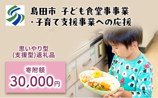 
            [№5695-1714]【思いやり型(協賛型)返礼品】島田市 子ども食堂事業・子育て支援事業への応援 【返礼品なし】(30000円)
          