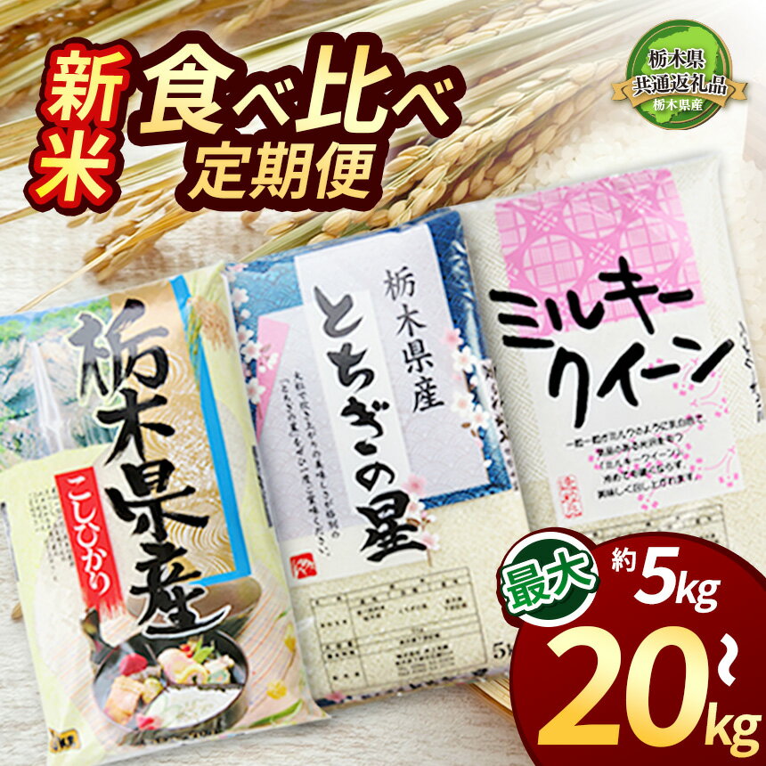 【ふるさと納税】 限定 選べる 米 お米 こめ おこめ コメ 新米 栃木県産 コシヒカリ ミルキークイーン とちぎの星 食べ比べ 定期便 5kg 10kg 20kg | こしひかり ミルキー 白米 精米 栃木米 ブランド米 栃木県共通返礼品 特産品 美味しい 安い 今だけ 栃木県 下野市 送料無料