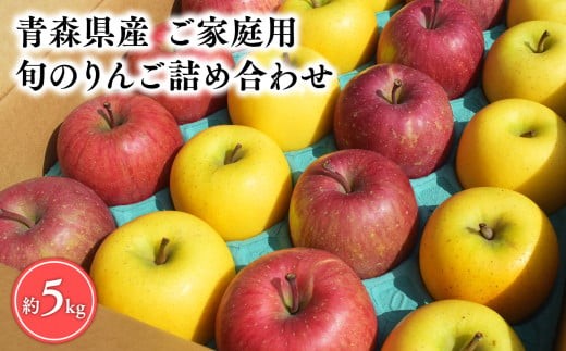 
                  ＜選べる発送月＞ 【訳あり】旬のりんご詰め合わせ5㎏【宮川商店 青森りんご 平川市産】11月～4月発送 青森 平川 りんご リンゴ 林檎 フルーツ 
                
