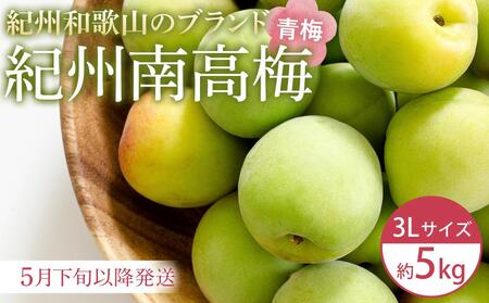 【2026年5月下旬以降発送】紀州南高梅(青梅) 5kg〈大粒/3Lサイズ〉
