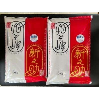 ふるさと納税 柏崎市 【令和7年産】【無洗米】特別栽培米　新潟県柏崎産「新之助」5kg×2袋　【五ツ星お米マイスター厳選】