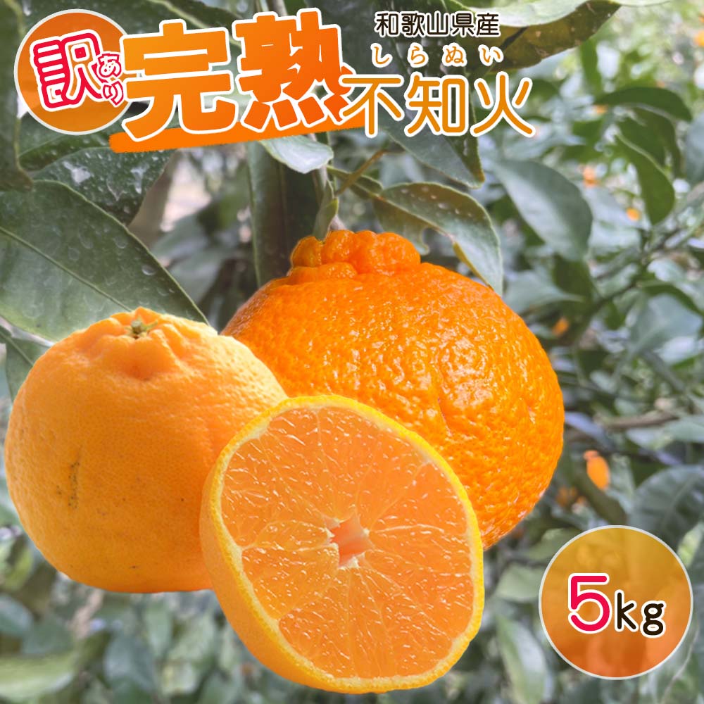 【ふるさと納税】【2027年先行予約】【訳あり・ご家庭用】 和歌山県産 完熟 不知火 5kg 甘酸っぱい味わいと芳醇な風味がたまらない高級柑橘!