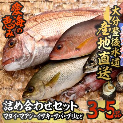 ふるさと納税 佐伯市 天然 鮮魚詰め合わせ (合計約2.8-3.2kg・3種以上)