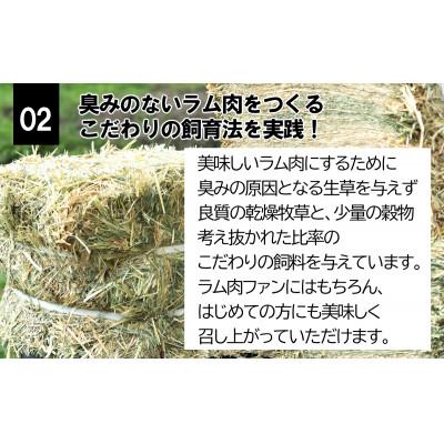 ふるさと納税 大月市 【先行受付】大月のびのび放牧羊　ラム肉ステーキカット　肩ロース　200g以上　バラ200g以上 |  | 03