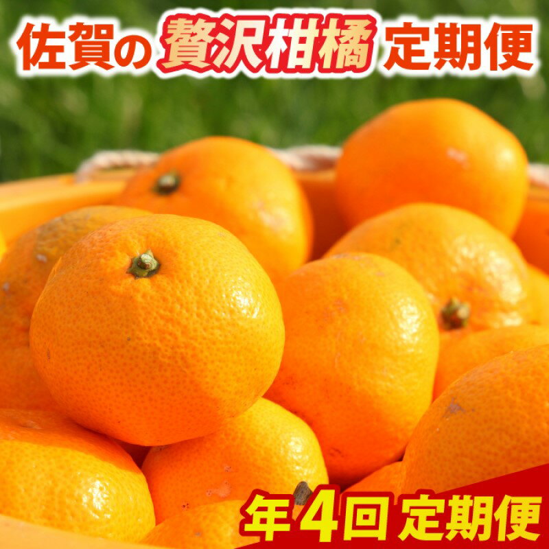 【ふるさと納税】定期便 4回 柑橘 佐賀の贅沢柑橘定期便 みかん 果物 年4回 ※配送不可：北海道、沖縄県、離島　お届け：ご寄附(入金)頂いた月の次月回より配送開始となります