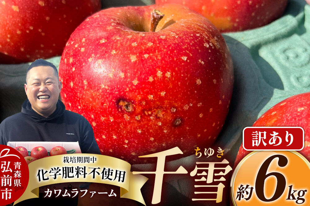 【26年10月下旬～発送】りんご 千雪 約6kg カワムラファーム【訳あり】青森 果物 フルーツ 林檎 リンゴ くだもの [アップル おいしい ちゆき 果実 果物 赤色 美味 林檎 弘前市]