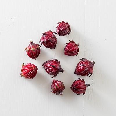 ふるさと納税 高原町 【農薬不使用・化学肥料不使用】 高原町産ハイビスカスローゼルティー2袋(30g) TF758 |  | 01