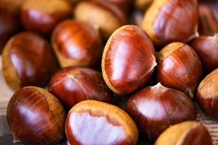 【2025年10月中旬より発送】生粋丹波栗　巻次のくり　大 2L　1.0ｋｇ | 兵庫県 丹波篠山市 プレミアム栗 期間限定 お取り寄せグルメ 高級 特産品 名産品 マロン 関西 西日本 GDT004