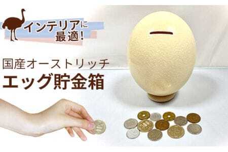 国産オーストリッチエッグ貯金箱【インテリアに最適！】  [No.017]