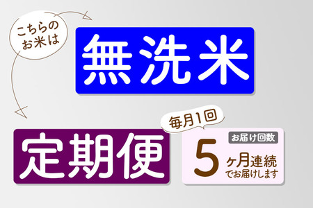 《定期便5ヶ月》【無洗米】あきたこまち 5kg 秋田県産 令和7年産  こまちライン