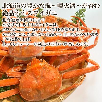 ふるさと納税 鹿部町 北海道産 訳あり ボイルオオズワイガニ 3kg(約10〜18尾) KS24 |  | 01