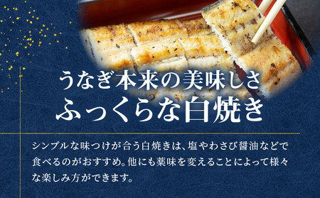 鹿児島県産！老舗うなぎ屋 の 紅白うなぎ！うなぎ の かば焼き 1尾（並・100g以上）×1パック・ 白焼き 1尾（並・100g以上）×1パック【 ご自宅用 】 A040-011-03 うなぎ 鰻 ウ