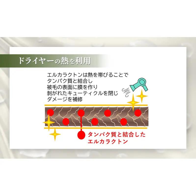 【犬用】アーユルニームシャンプーミニボトル20ml×2本セット 植物由来成分シャンプー 雑貨 日用品 犬用シャンプー