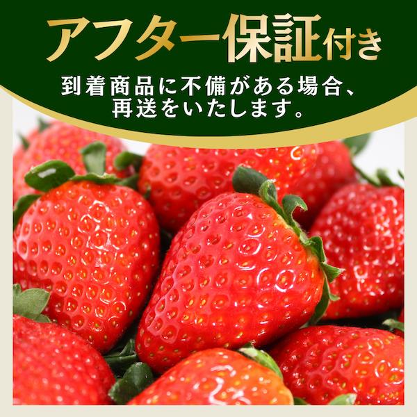 【先行予約＿2027年出荷分】 完熟いちご280g かおり野 4パック（DXパック） 【 かおり野 いちご 苺 イチゴ 果物 フルーツ くだもの 旬 伊豆 静岡県 期間限定 先行予約 】