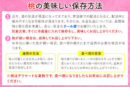 【先行予約】桃 約2kg（6-9玉） 岸武青果株式会社《2026年6月下旬-8月末頃出荷》｜桃 もも モモ フルーツ 果物 白鳳 清水白桃 川中島白桃  和歌山県産の桃 紀の川市の桃 和歌山の桃